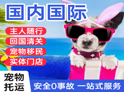 神农空运国际宠物托运 【国